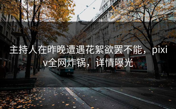 主持人在昨晚遭遇花絮欲罢不能，pixiv全网炸锅，详情曝光