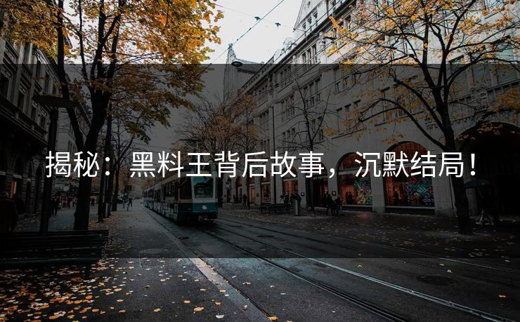 揭秘：黑料王背后故事，沉默结局！