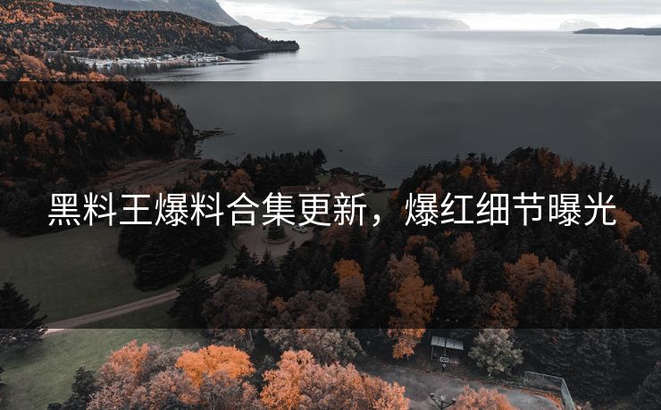黑料王爆料合集更新，爆红细节曝光
