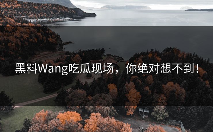 黑料Wang吃瓜现场，你绝对想不到！
