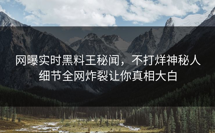 网曝实时黑料王秘闻，不打烊神秘人细节全网炸裂让你真相大白