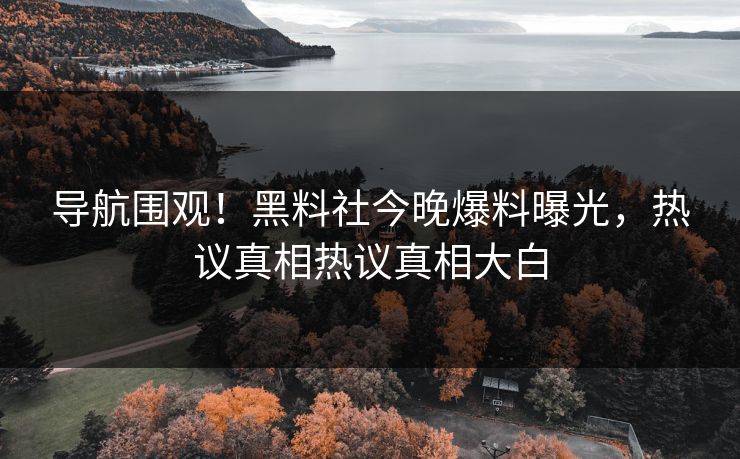 导航围观！黑料社今晚爆料曝光，热议真相热议真相大白