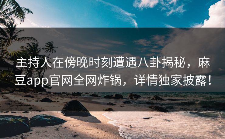 主持人在傍晚时刻遭遇八卦揭秘，麻豆app官网全网炸锅，详情独家披露！