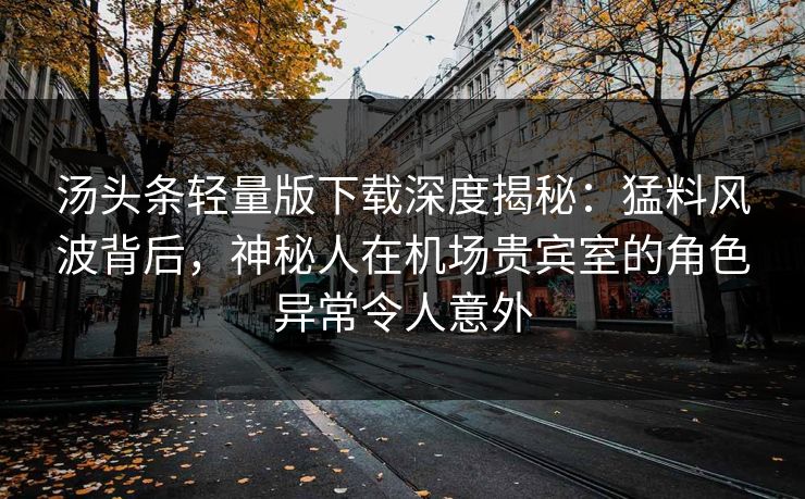 汤头条轻量版下载深度揭秘：猛料风波背后，神秘人在机场贵宾室的角色异常令人意外