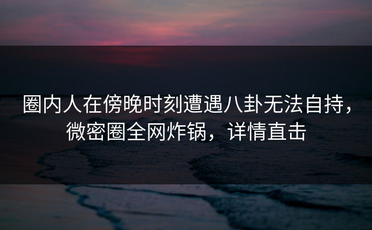 圈内人在傍晚时刻遭遇八卦无法自持，微密圈全网炸锅，详情直击