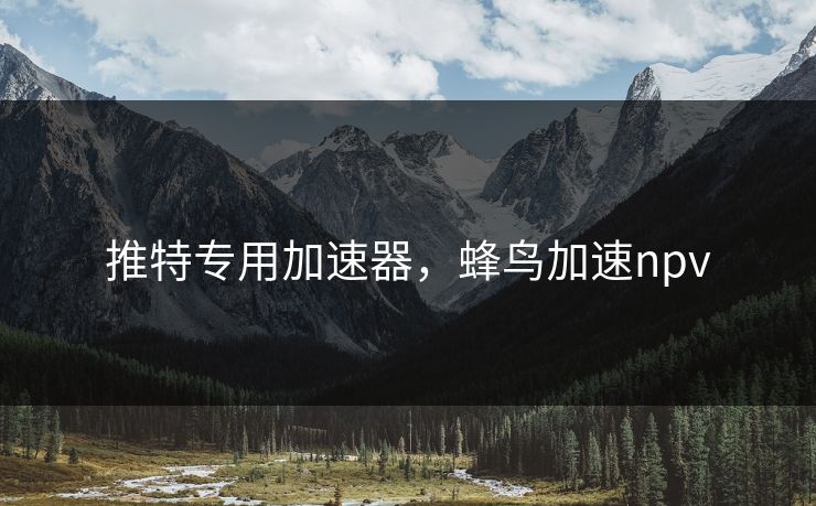 推特专用加速器，蜂鸟加速npv
